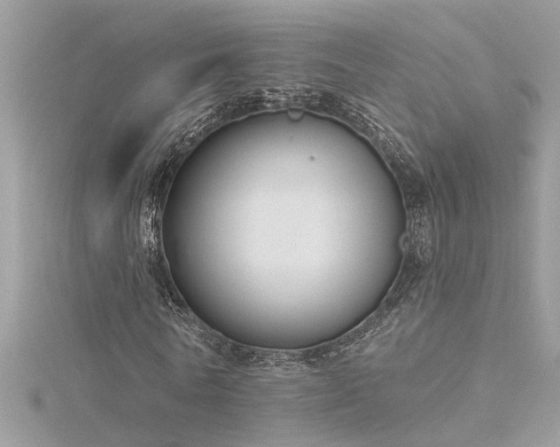 X0000116340770200912011349