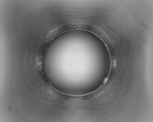 X0000116340771200912011349