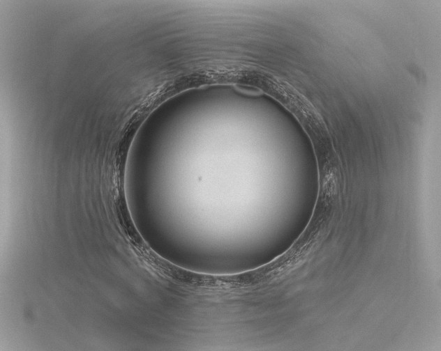 X0000116340772200912011348