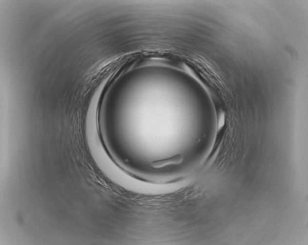 X0000116340773200912011348