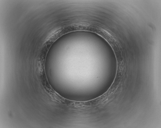 X0000116340774200912011348