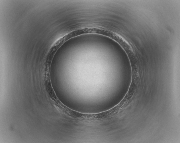 X0000116340775200912011348