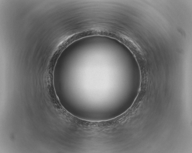 X0000116340776200912011348