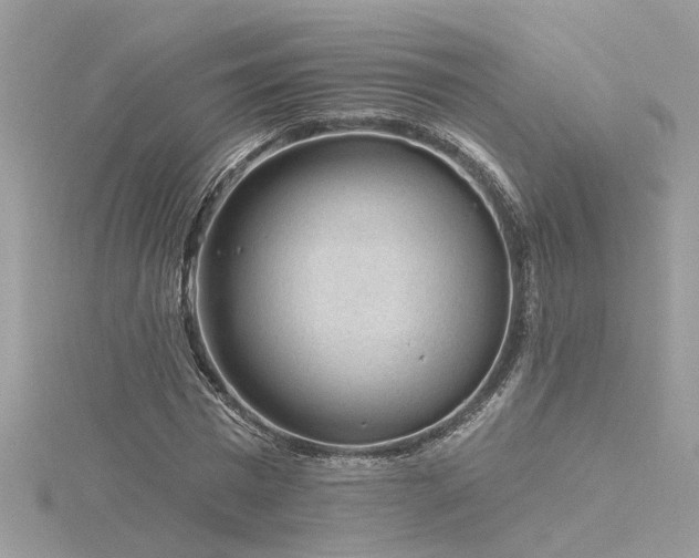 X0000116340777200912011348