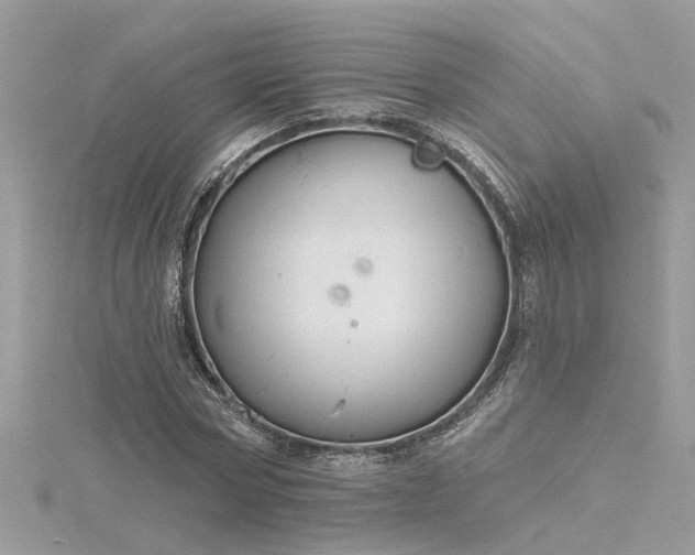 X0000116340778200912011348