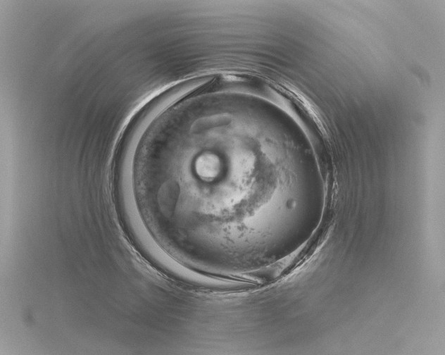 X0000116340779200912011348