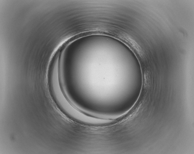 X0000116340780200912011348