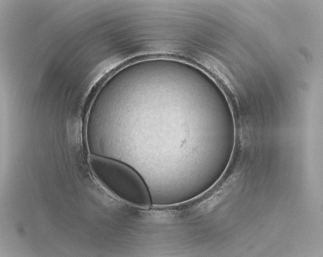 X0000116340781200912011348