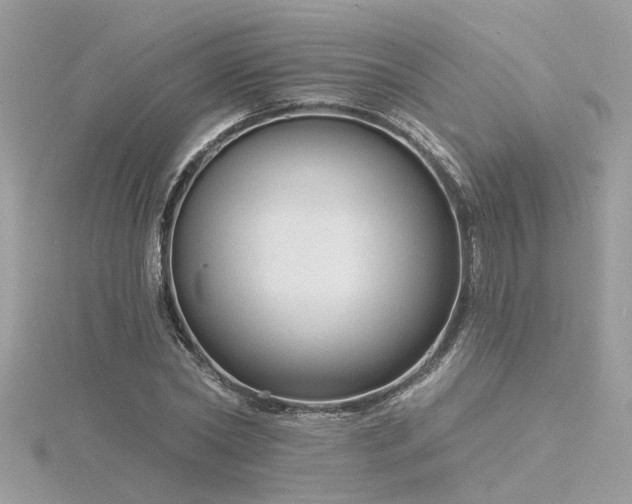 X0000116340782200912011348