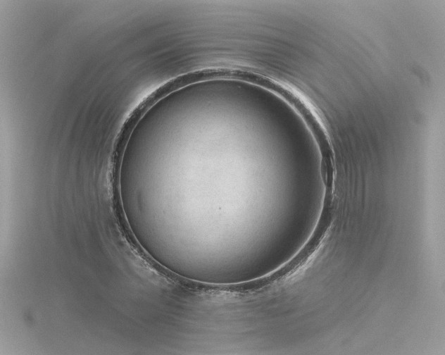 X0000116340783200912011348