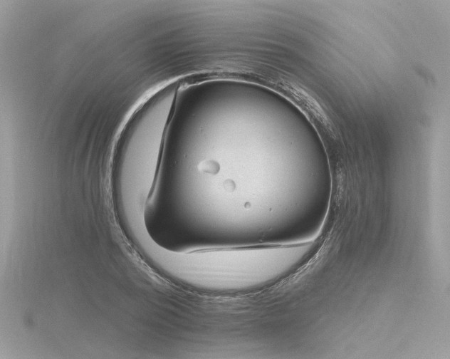 X0000116340784200912011348