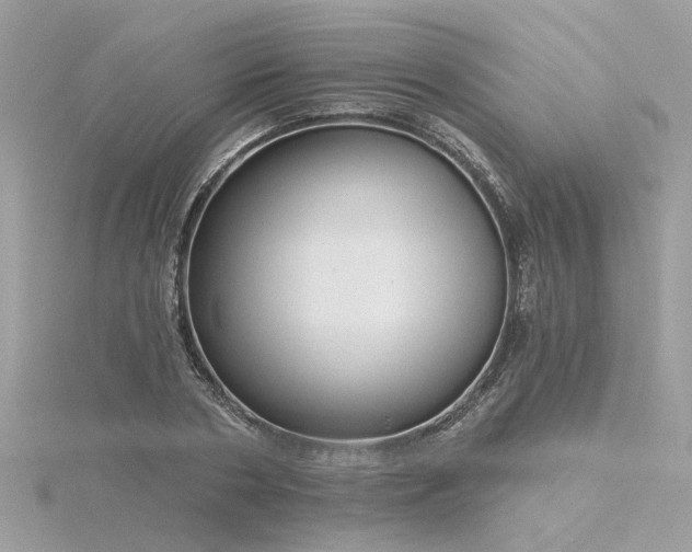 X0000116340786200912011348