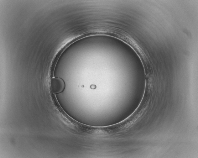 X0000116340787200912011348