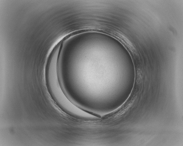 X0000116340788200912011348