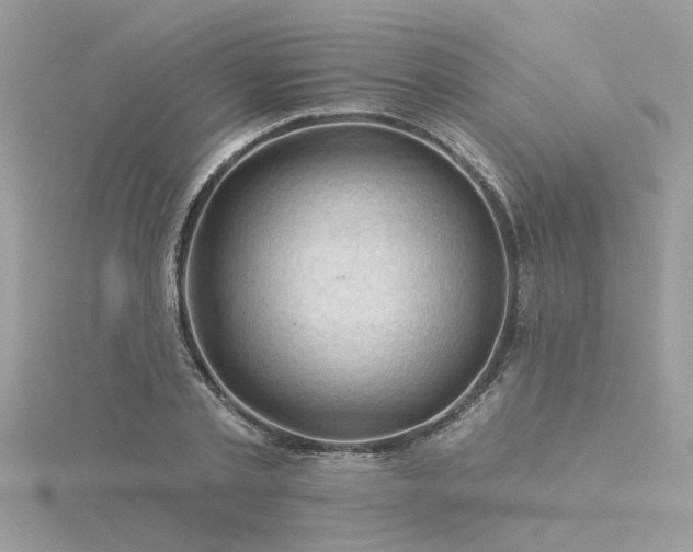 X0000116340789200912011348