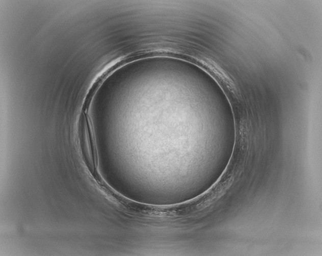 X0000116340790200912011348