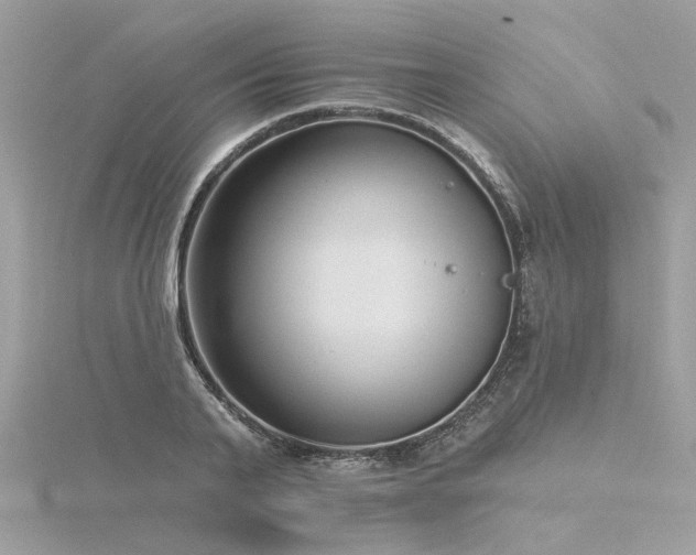 X0000116340791200912011348