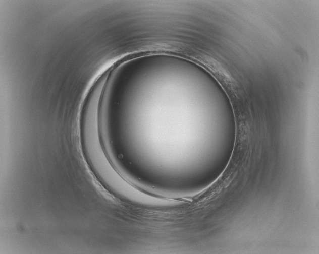 X0000116340792200912011348