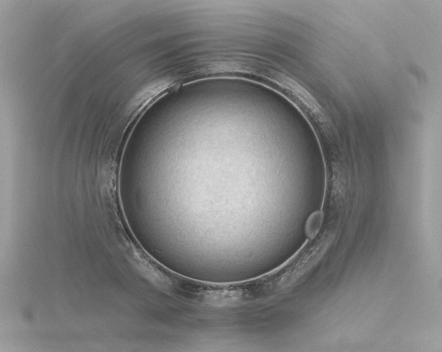 X0000116340793200912011348