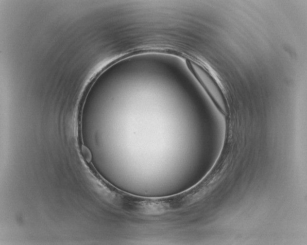 X0000116340795200912011348