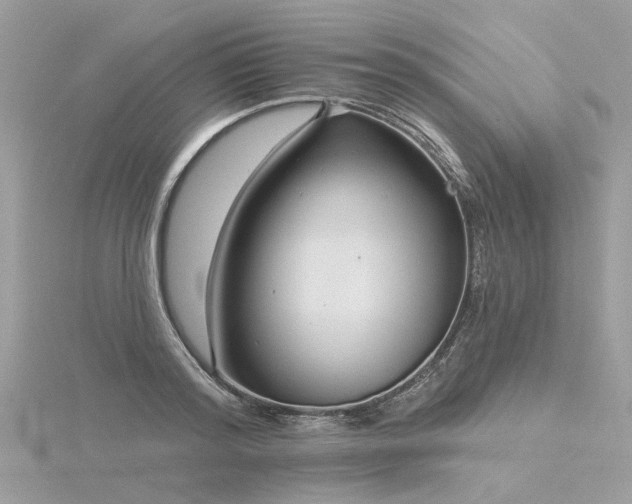 X0000116340796200912011348