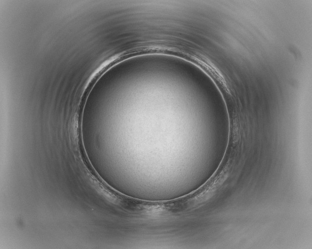 X0000116340798200912011348