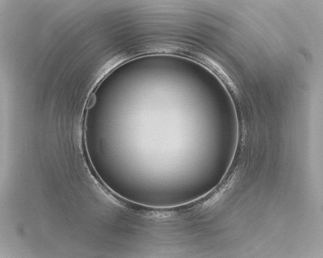 X0000116340802200912011348