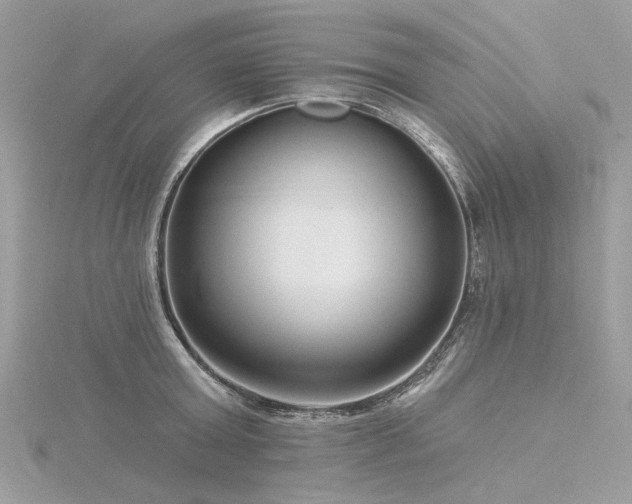 X0000116340803200912011348