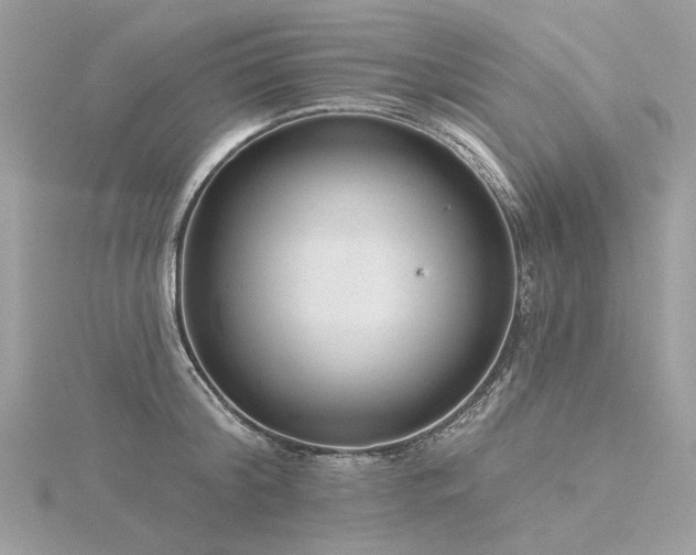 X0000116340804200912011348