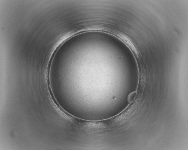 X0000116340805200912011348