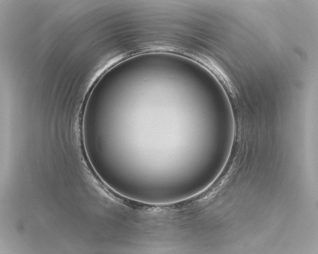 X0000116340806200912011348