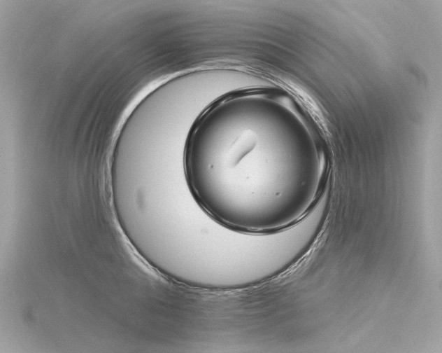 X0000116340808200912011348