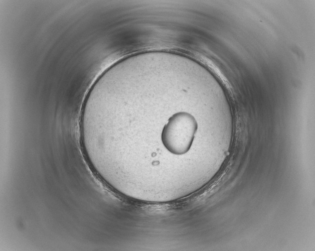 X0000116340810200912011348