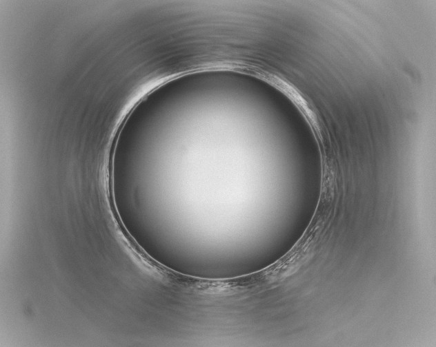 X0000116340811200912011348