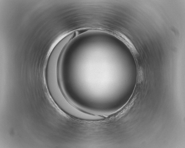 X0000116340812200912011348