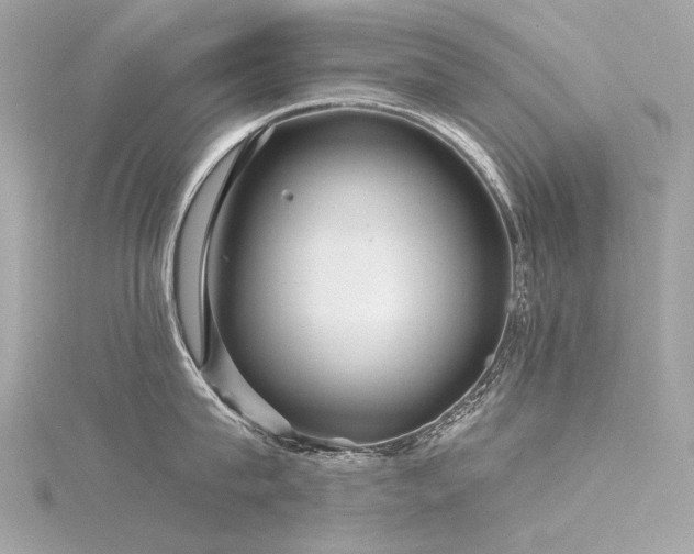 X0000116340815200912011348