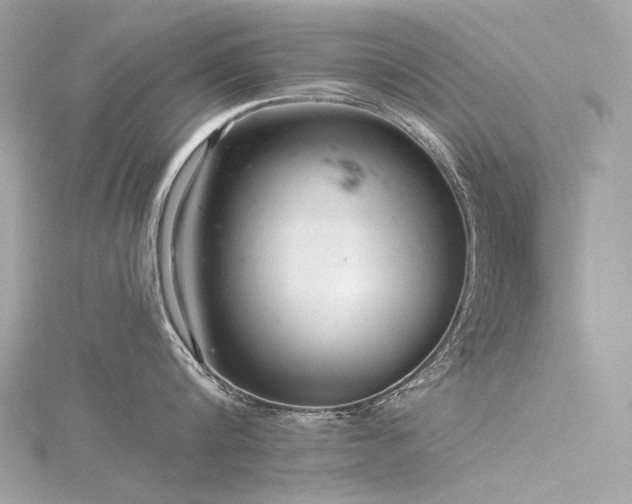 X0000116340816200912011348