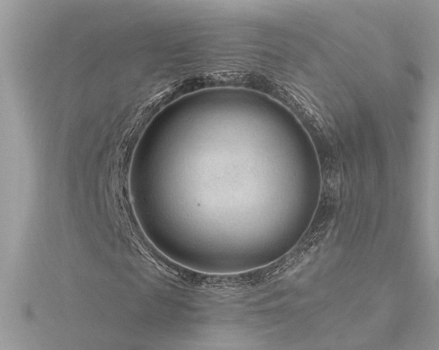 X0000116340817200912011347