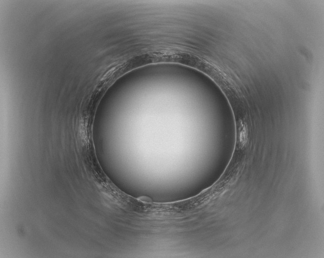 X0000116340819200912011347