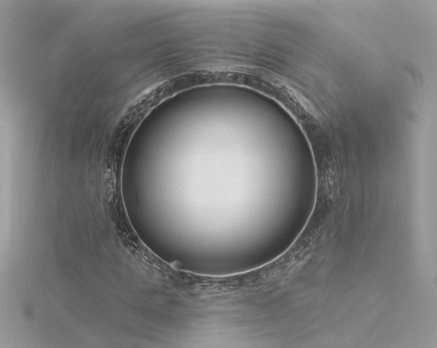 X0000116340821200912011347