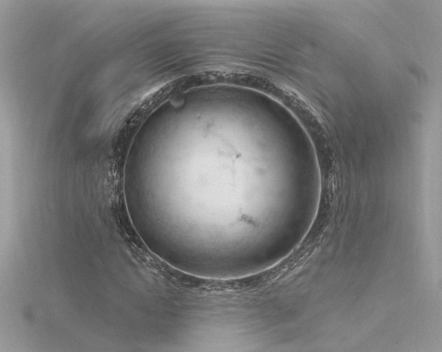 X0000116340822200912011347