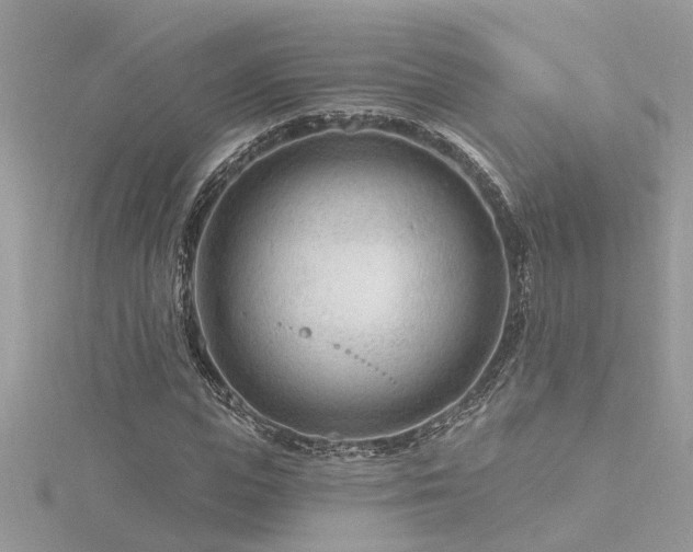 X0000116340823200912011347