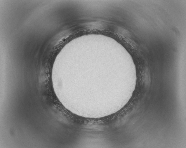 X0000116340824200912011347