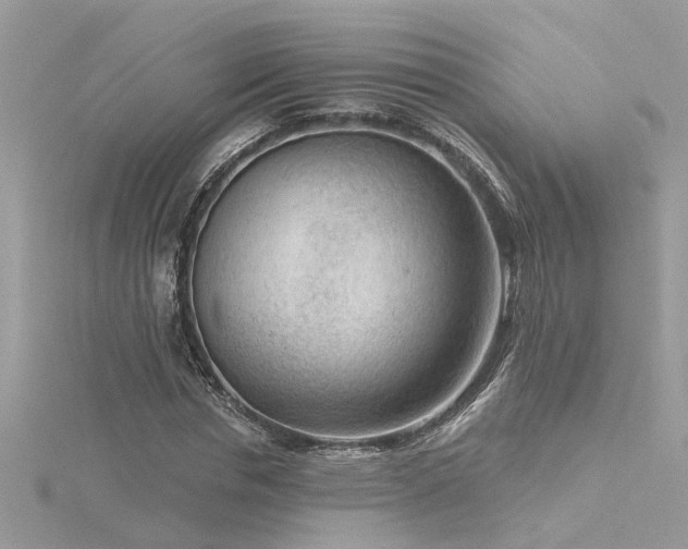 X0000116340826200912011347