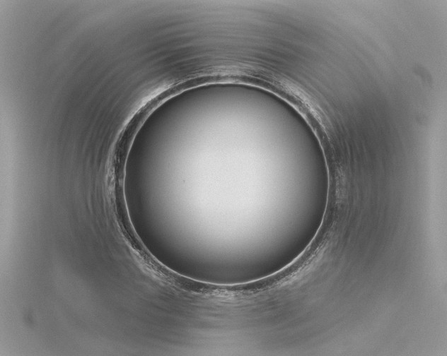 X0000116340827200912011347