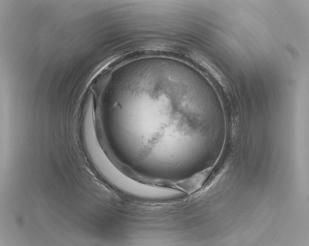 X0000116340829200912011347