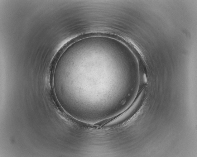 X0000116340830200912011347