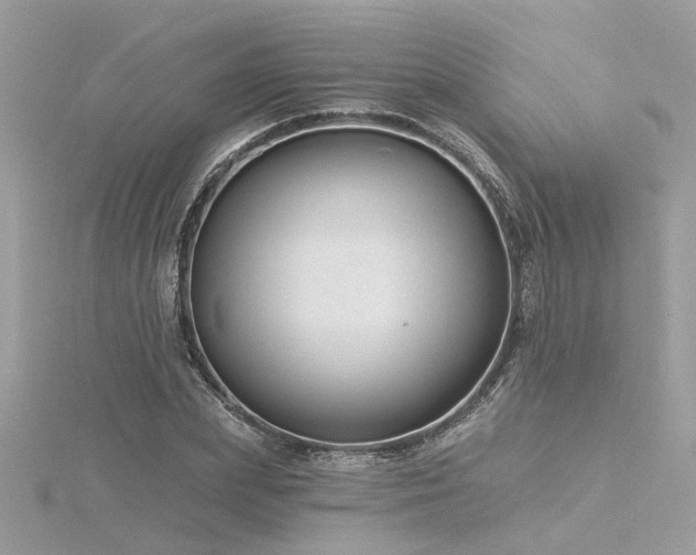 X0000116340831200912011347