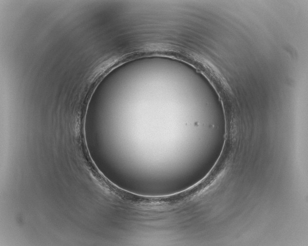 X0000116340833200912011348