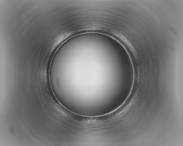 X0000116340834200912011348